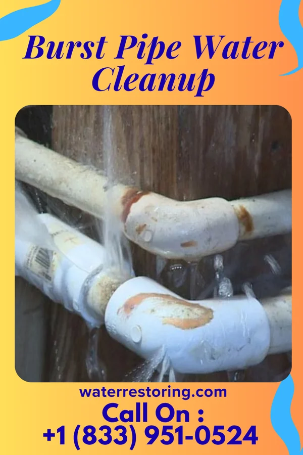 Burst Pipe Water Cleanup in Columbia, PA