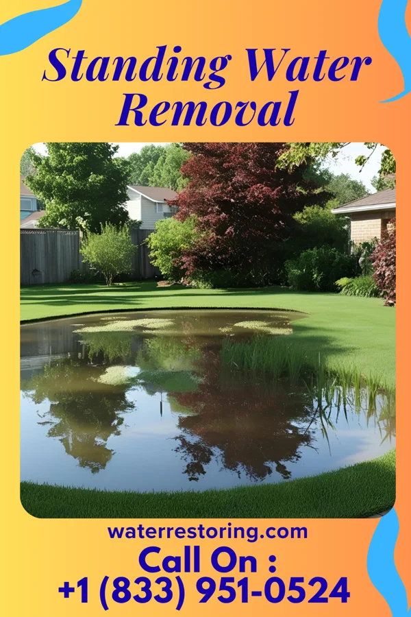 Standing Water Removal in Columbia, PA